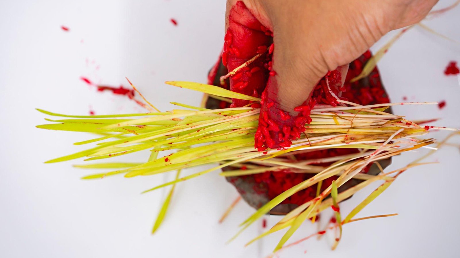 Photos of Danshai Thali